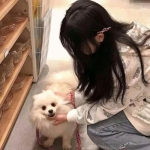 圣三国蜀汉传旧版本下载